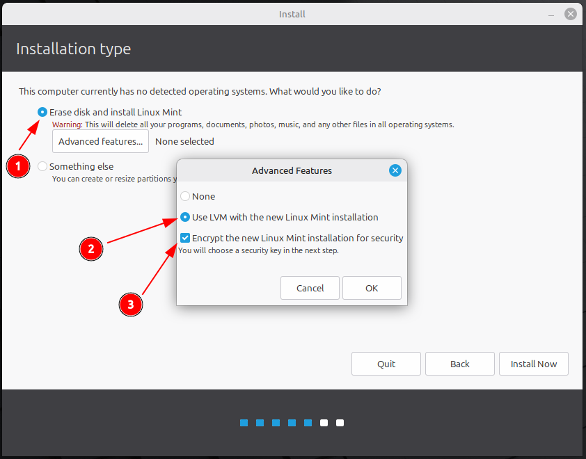 Linux Mint volume encryption